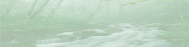 Aboout Stonecreek organic low voltage lighting